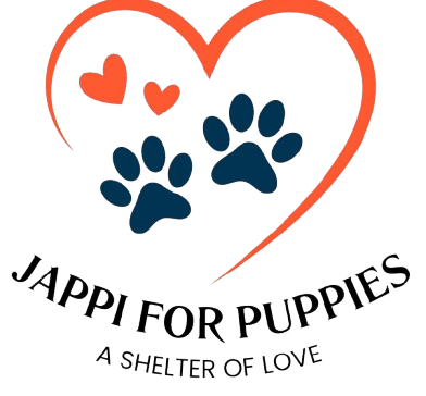 logo removebg preview