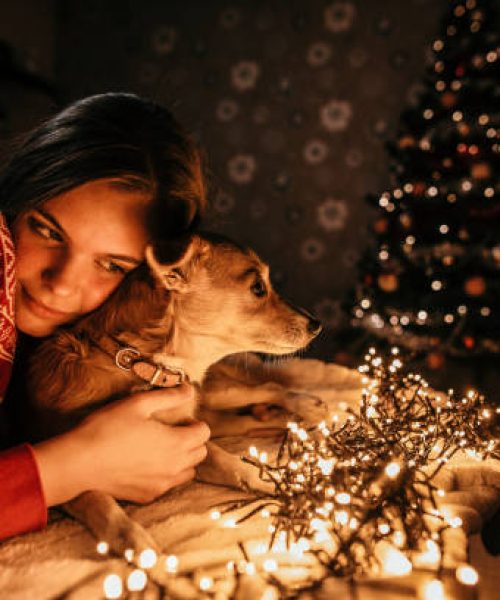 young woman stands next to the tree and playing with dog on a new year's eve