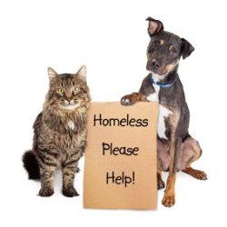 home page how we are funded qdnqjb3ouyg73iytcped6fomuw81yt4j3gee6tzi9w